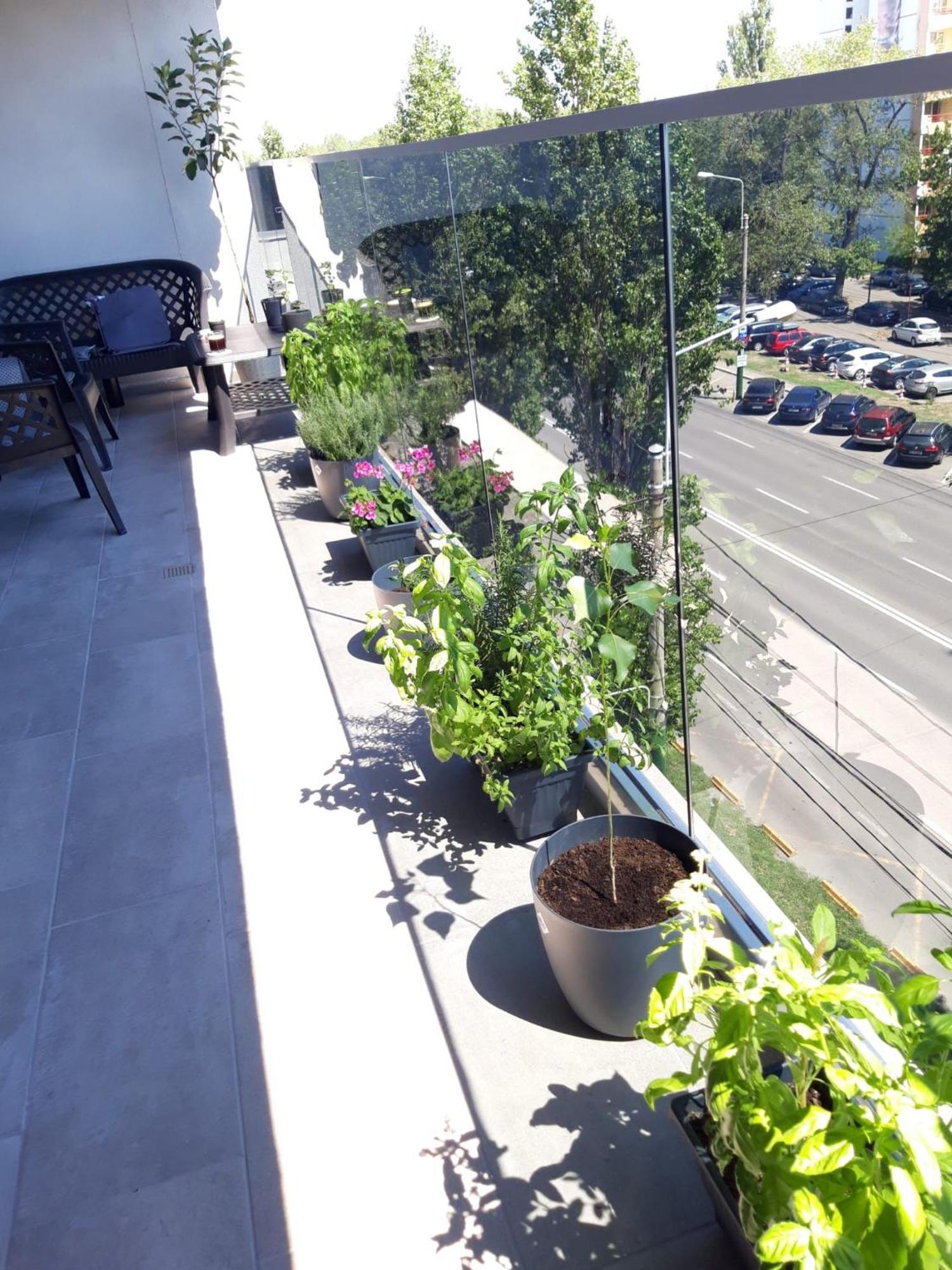 Elysse Sunrise Apartment มามายา ภายนอก รูปภาพ